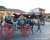 Horse drawn cart in Tsilivi